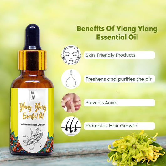 Thumbnail: Law India Ylang Ylang Essential Oil