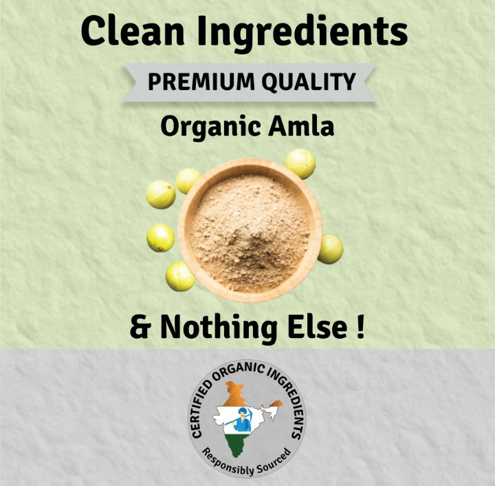 Thumbnail: Organic Amla Powder (250gms)