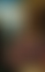 The Word as word: A Canonical-Hermeneutical Approach to Translation