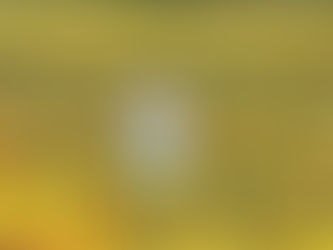 O Cão Que Guarda as Estrelas