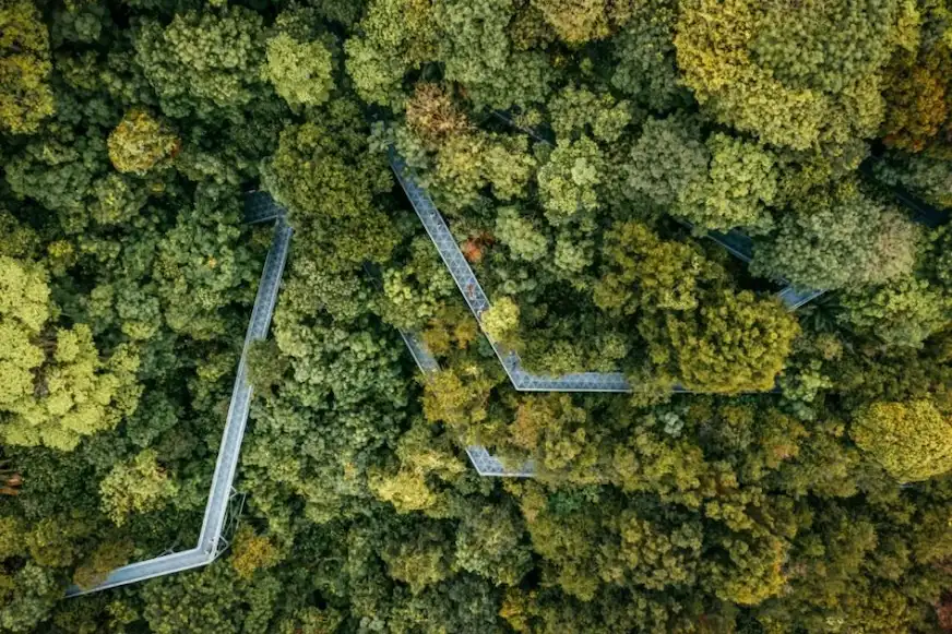 新加坡南部山脊健行路線景觀照