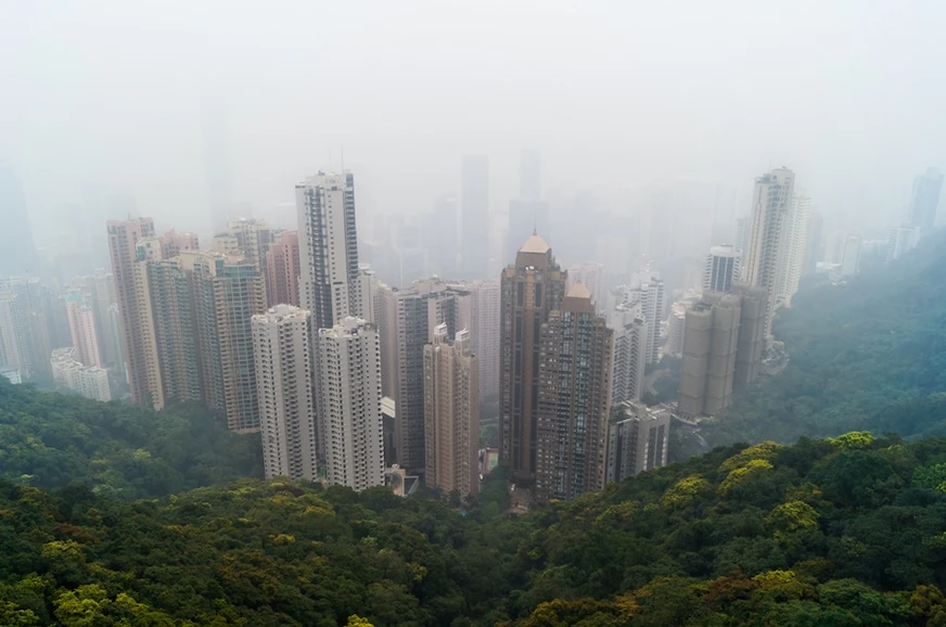 被大霧圍繞的太平山景色