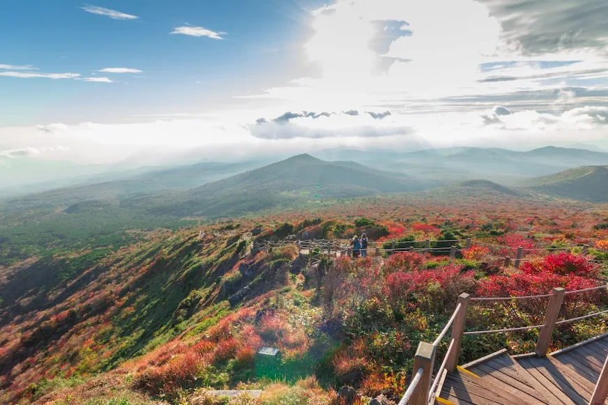 濟州島秋天漢拏山賞楓景觀照