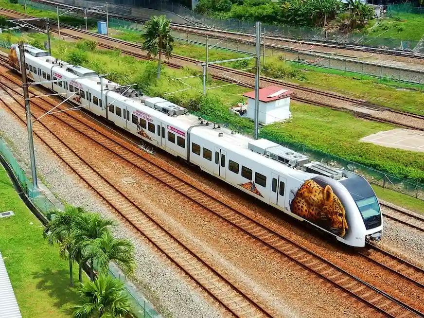 一輛在車頭印有豹紋圖案的白色列車
