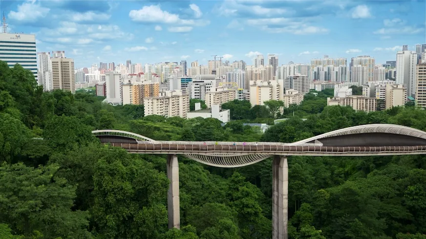 亨德森波浪橋景觀照