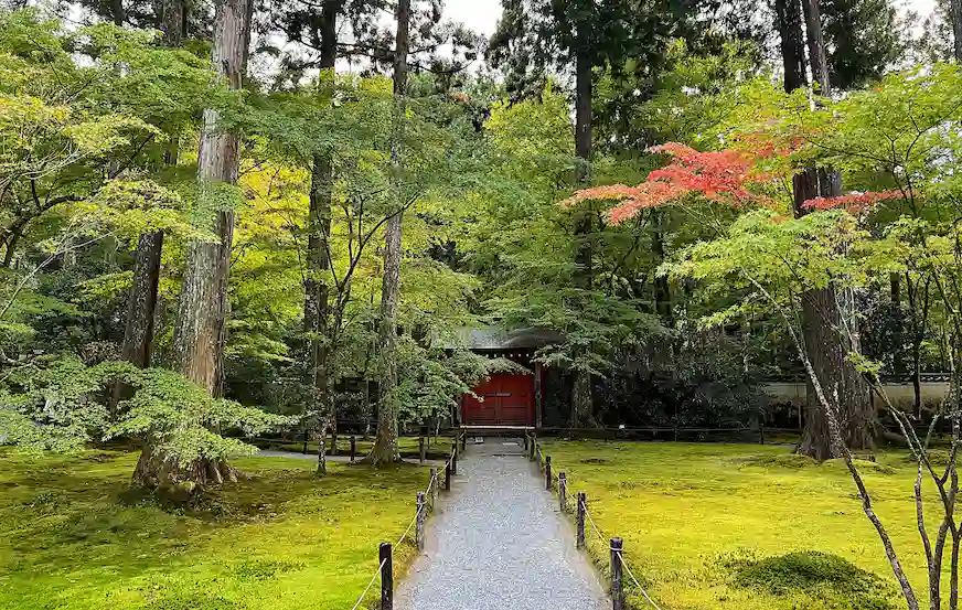 京都紅葉的風景照