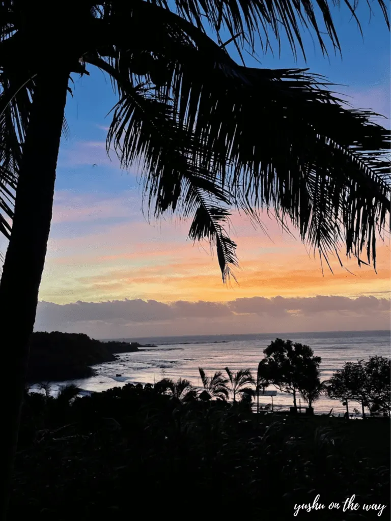 台東成功的海邊景色
