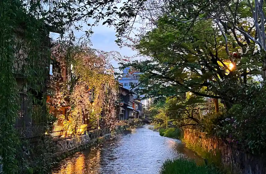京都白川巽橋景觀照