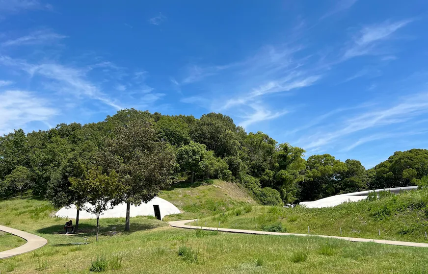 豐島美術館景觀照