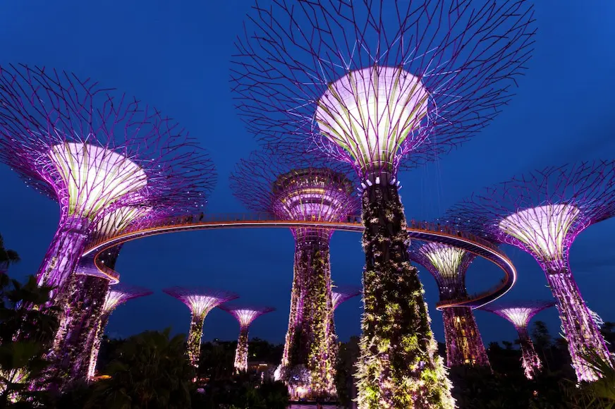 新加坡濱海灣花園的超級樹景觀