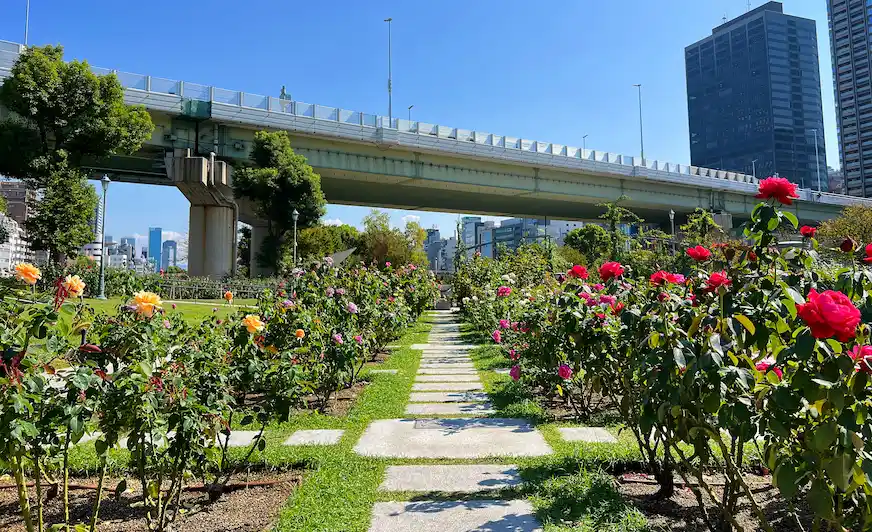 中之島玫瑰園