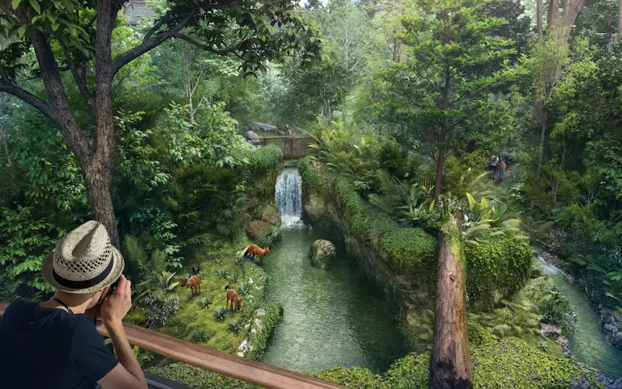 新加坡雨林野生園區景觀照