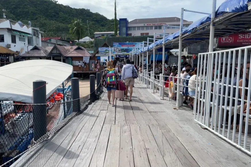 抵達龜島周遭會有很多潛店人員等著接待客人