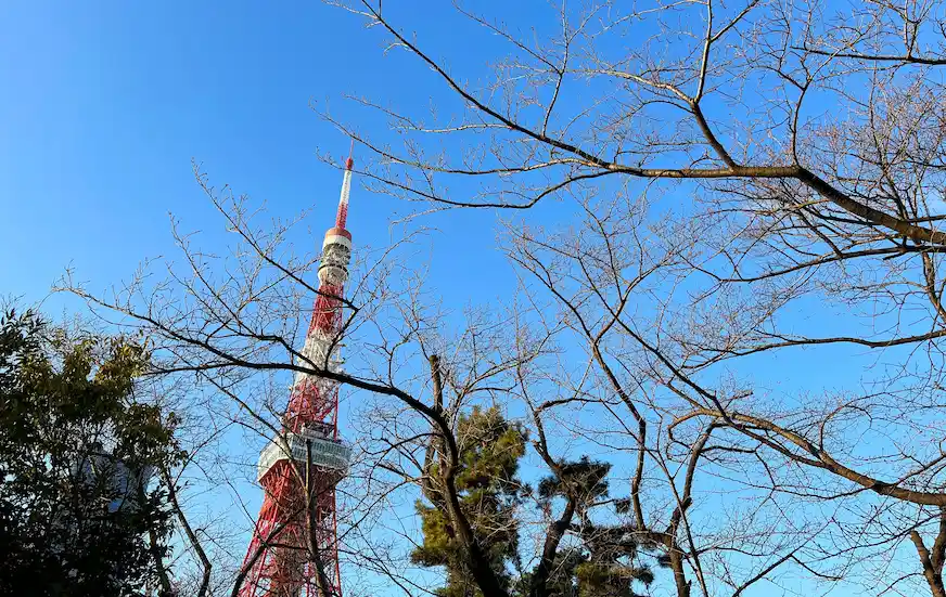 東京鐵塔周邊景觀