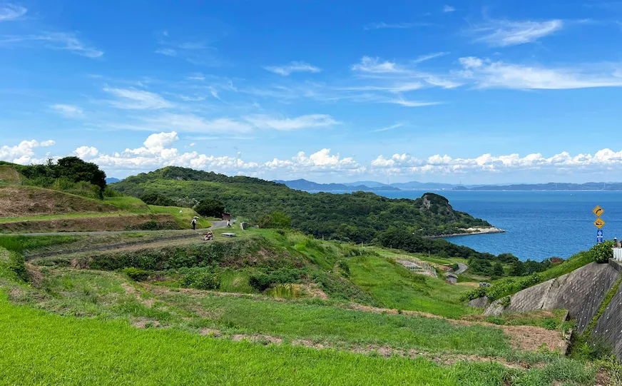 豐島梯田景觀照
