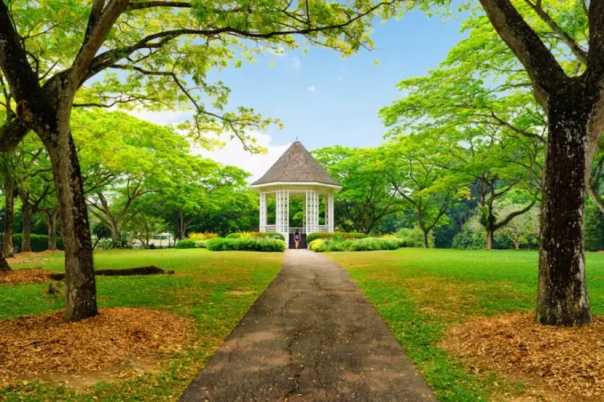 新加坡植物園景觀照