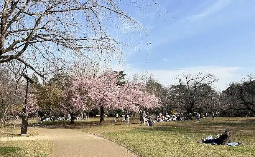 井之頭恩賜公園