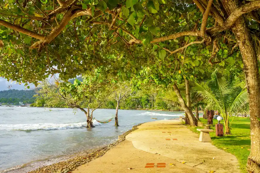 富有原始自然景觀的象島