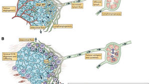 There's a reason IBC feels different