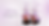 banner copy 2.png