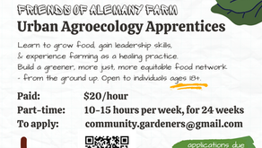Now Hiring: Urban Agroecology Apprentices