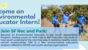Become an Environmental Educator Intern