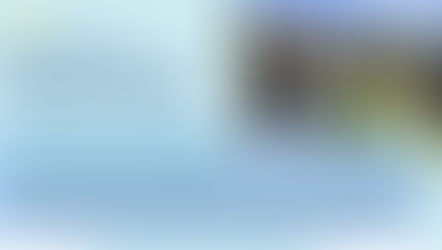 Become an Environmental Educator Intern!