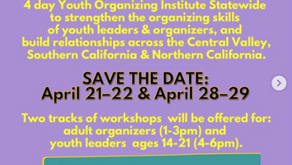 Virtual Youth Organizing Institute