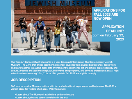 Teen Art Connect (TAC) Internship