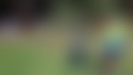 Summer Together Interest Form