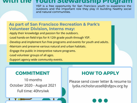 Youth Stewardship Program Internship Deadline Extended