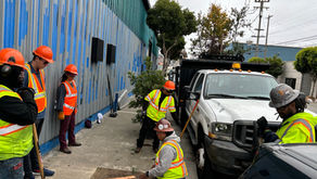 Volunteer to Plant Trees 10/18