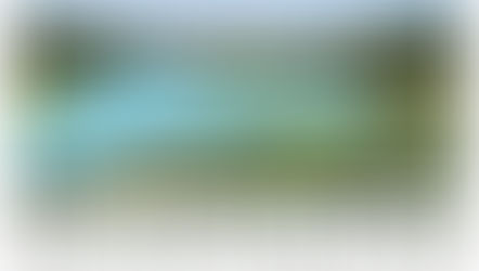 Headwaters Research Experience