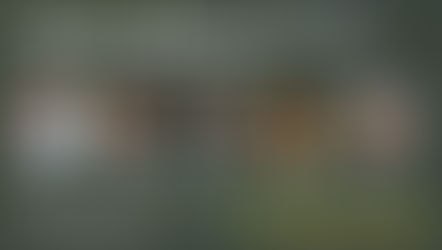 City Parks Alliance Summer Series through June 25