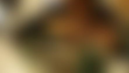 BlueStamp Summer Programs