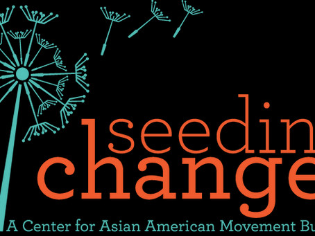 2022 National Fellowship Program for Asian American Organizing and Civic Engagement