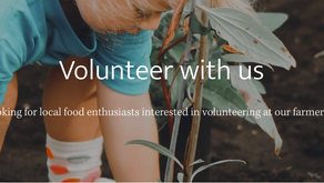 Farmers Market Volunteer Opportunities