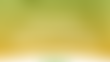 16th Annual API Youth Summit: Educate to Advocate