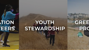 Sf Volunteer Programs