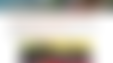 AMIGOS Community Impact - Volunteer Now!