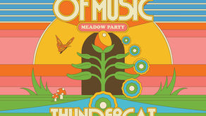Free Thundercat Concert: Golden Gate Park