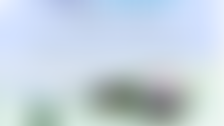 Environmental Youth Leadership Summit