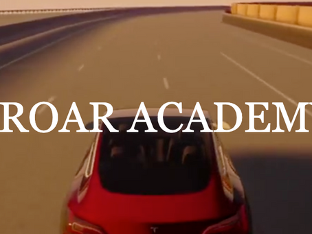 ROAR Academy