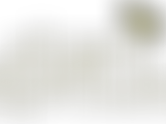 Urban Sprouts | Paid Summer Internship