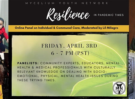 Panel: Resilience in Pandemic Times