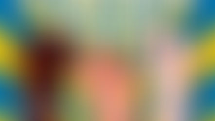 Dream Summer 2021 Fellowship Application