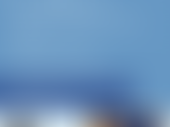 High School Elections Ambassador Program