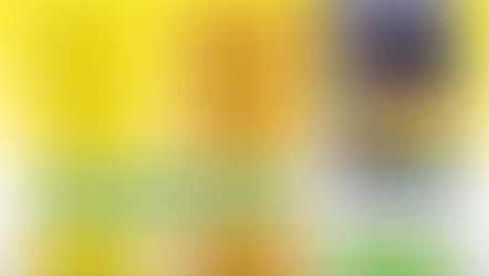 Get paid $1800 this Spring! Apply to be a LYRIC Intern