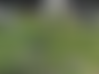 Volunteer | Upper Noe Recreational Center