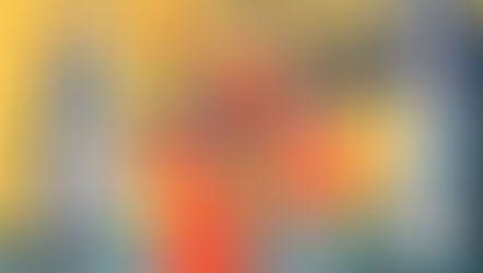 Volunteer | Battle for the Bay